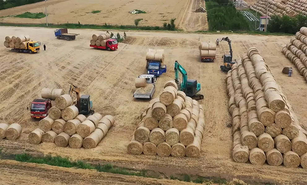 Straw,Rice Straw, Pasture Biomass Pellet Line (3)