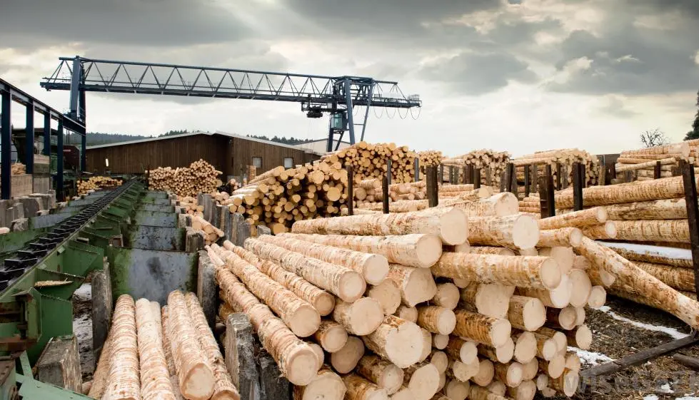 Timber processing plants