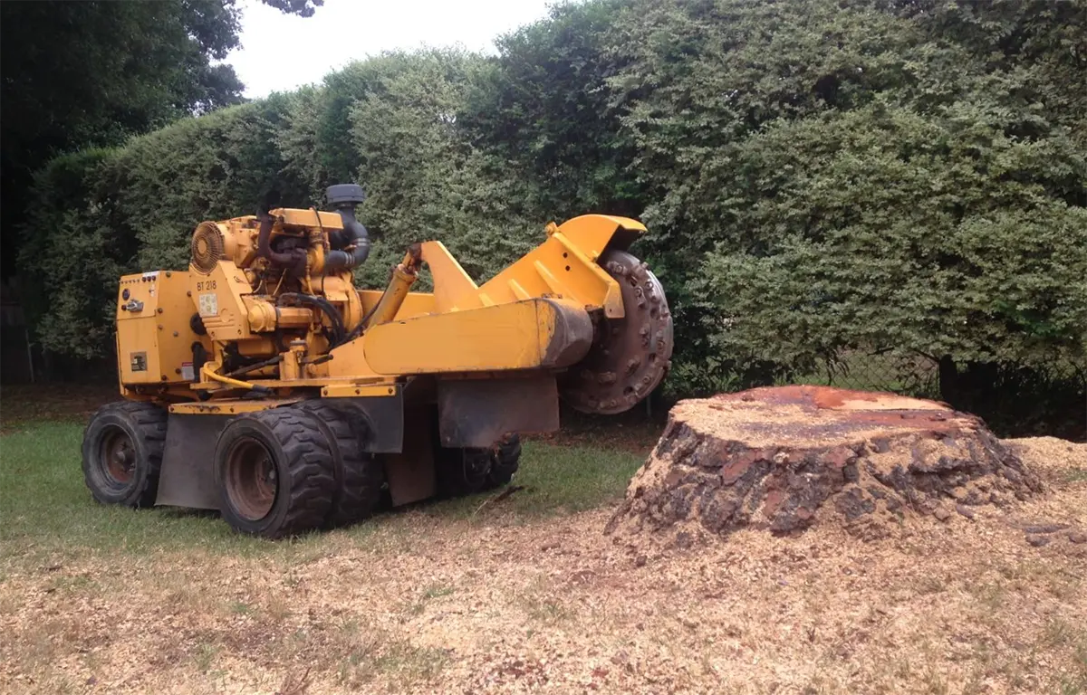 How to select a tree stump grinder based on material size?
