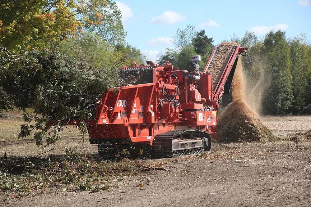 What characteristics should an excellent tree grinder possess?